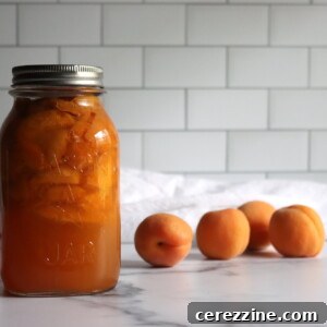 Home Canned Apricot Pie Filling