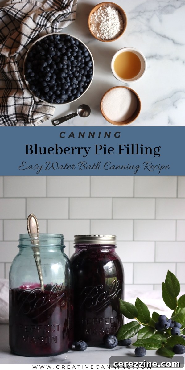 Crafting Perfect Homemade Blueberry Pie Filling for Canning 5 Assortment of canned blueberry products, including pie filling and whole blueberries, on a rustic table.