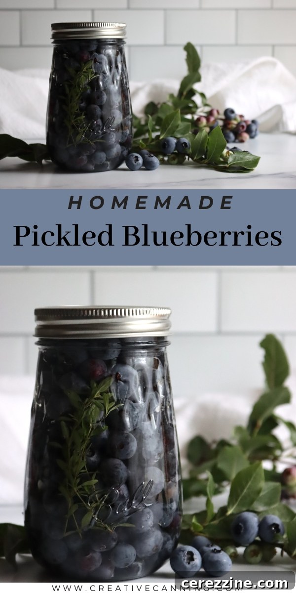 Selection of Homemade Pickled Blueberries