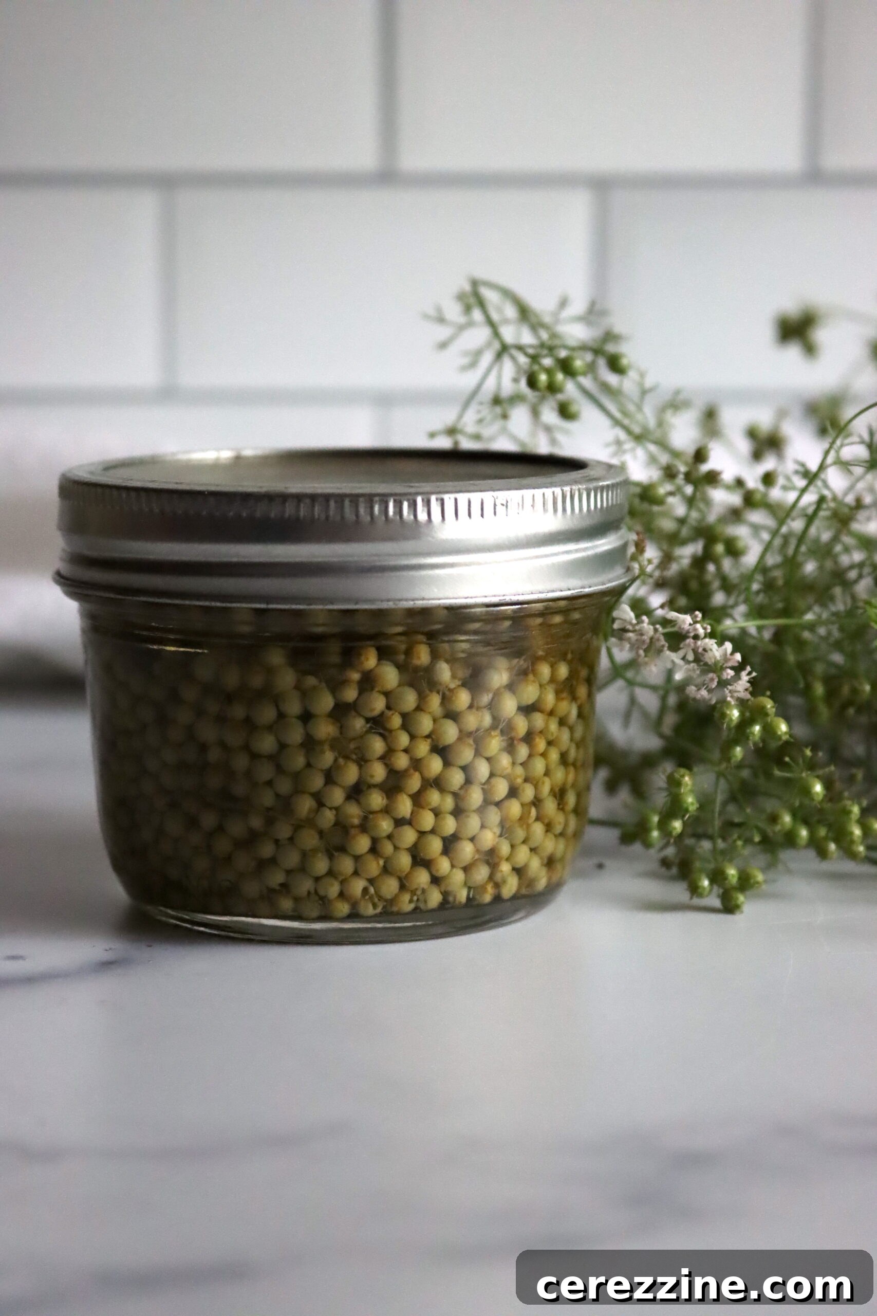 Close-up of a jar of homemade pickled green cilantro seeds with fresh herbs