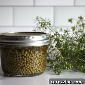 Pickled Green Cilantro Seed