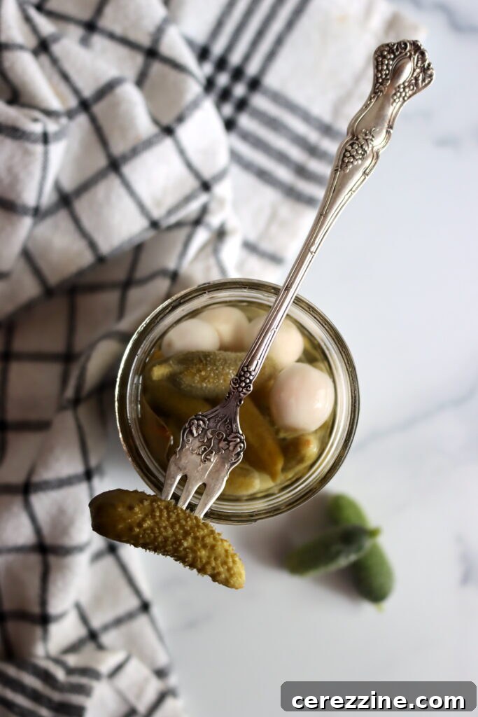 French Cornichons