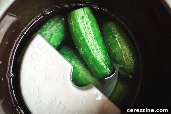lacto-fermented-pickles-in-crock