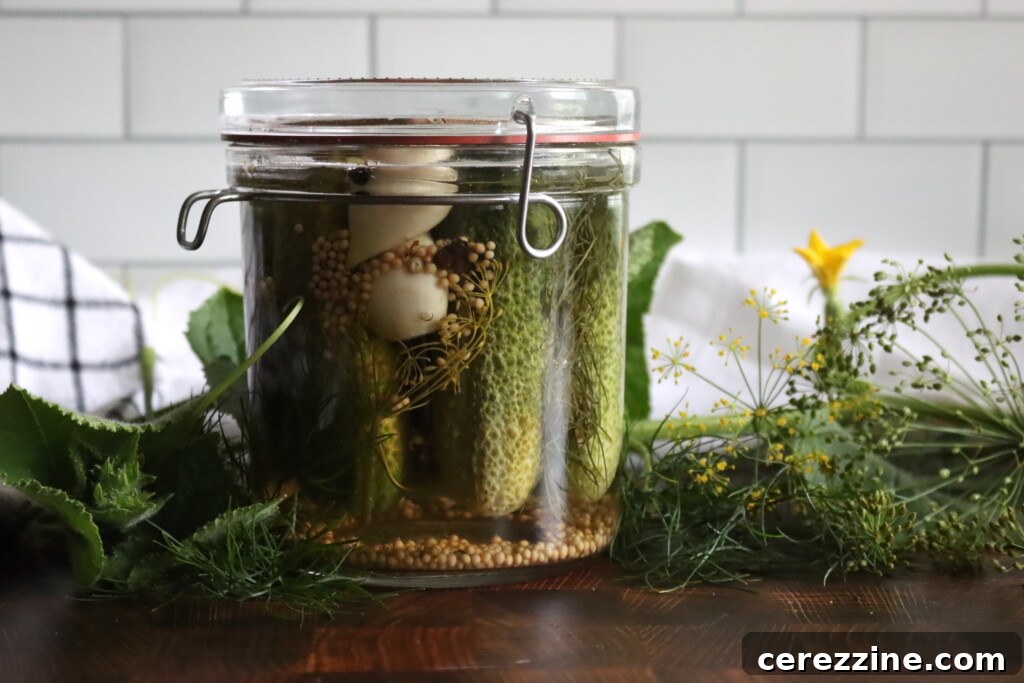 Garlic Dill Pickles