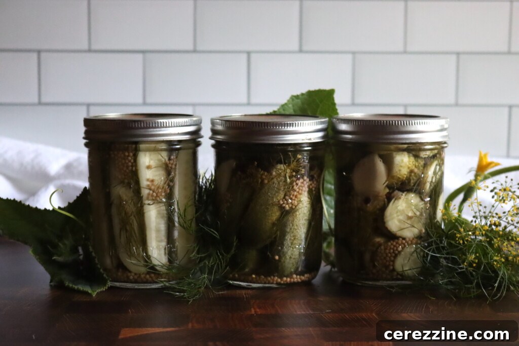 Dill Pickles