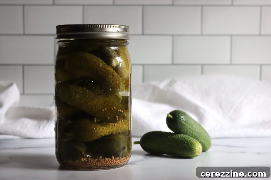 Sour Pickles