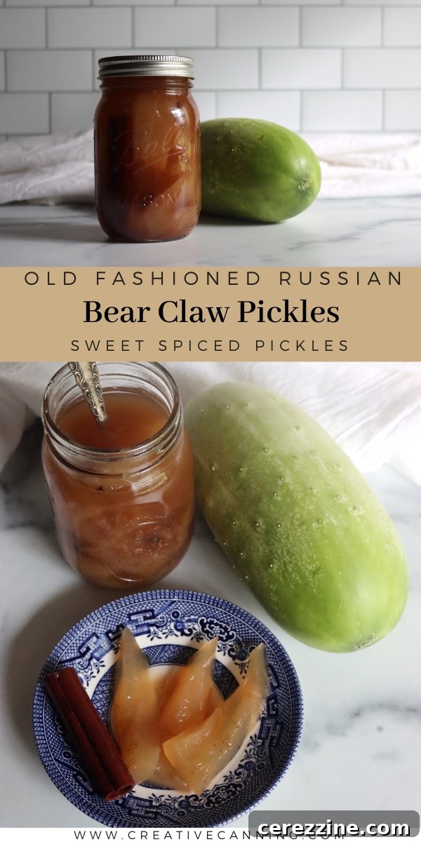 Rustic Russian Bear Claw Pickles 8 Final image of a jar of Russian Bear Claw Pickles with a rustic background