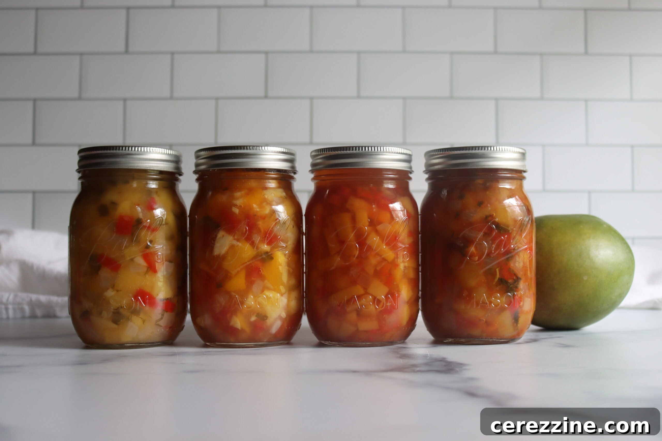 Mango Salsa Recipes