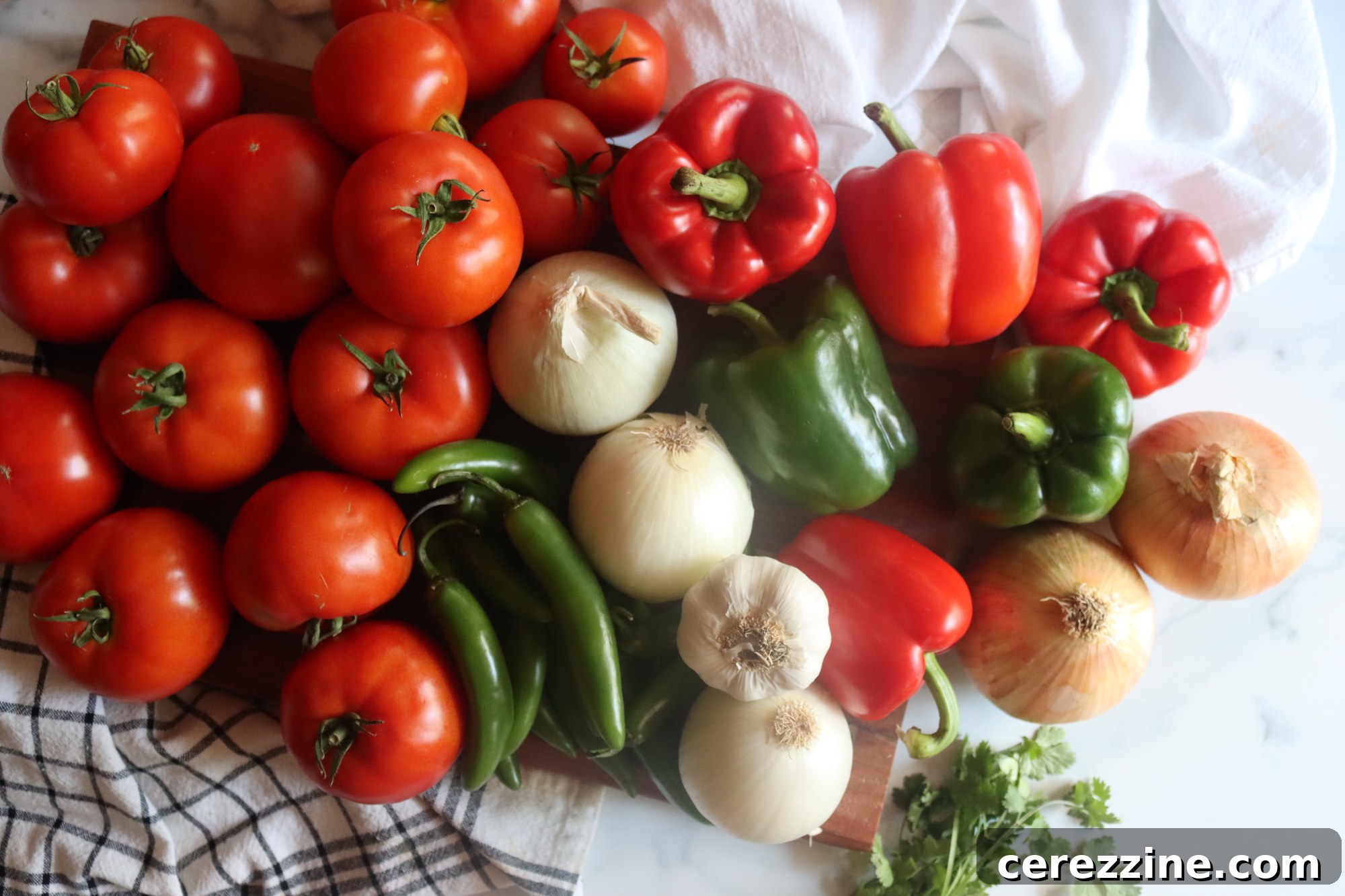 Zesty Salsa Ingredients
