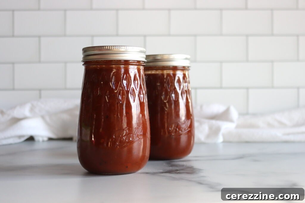 Tomato Soup Canning Collection 5 Southwest Tomato Soup