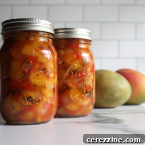 Mango Chipotle Salsa