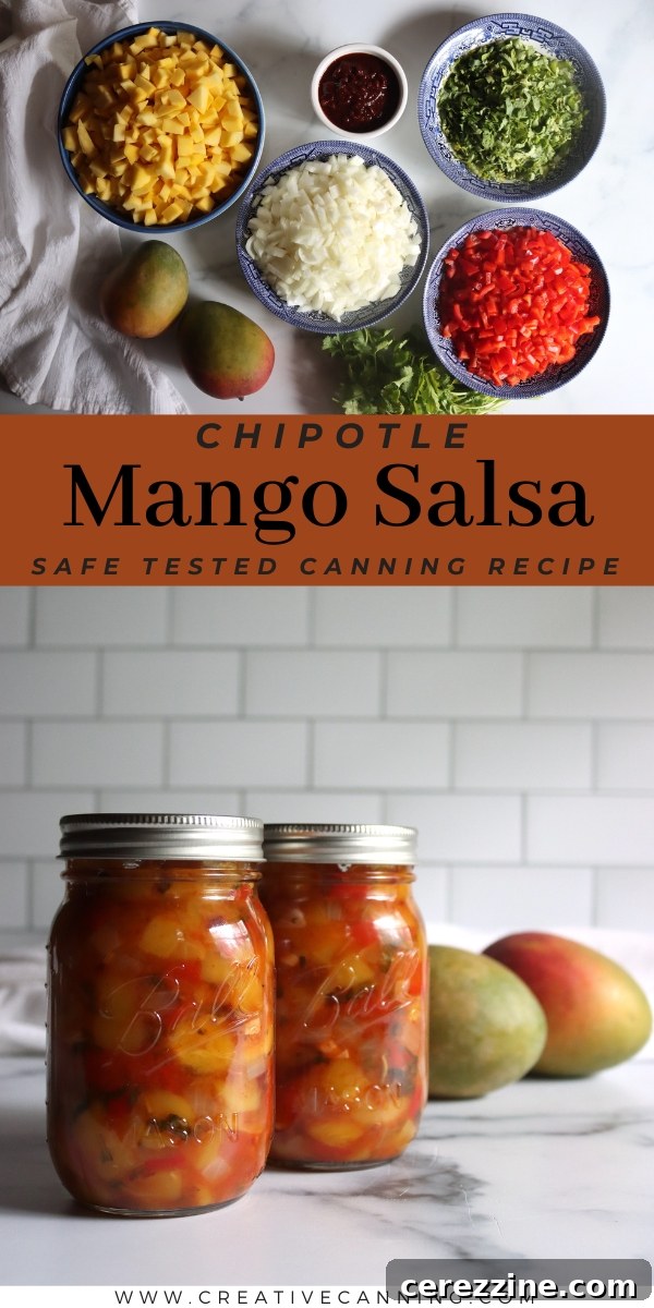 Chipotle Mango Salsa Recipe