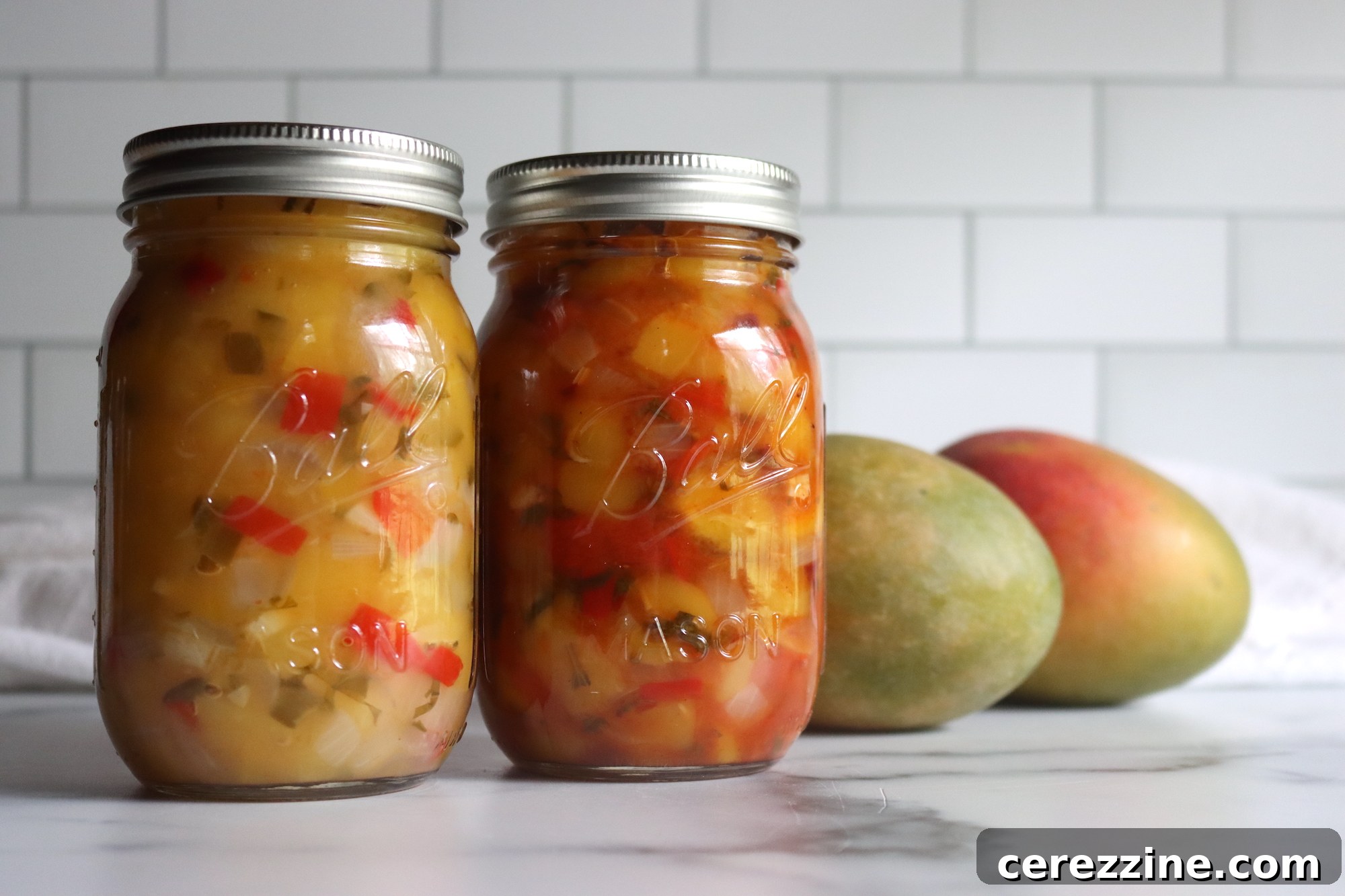 Mango Salsa Recipes