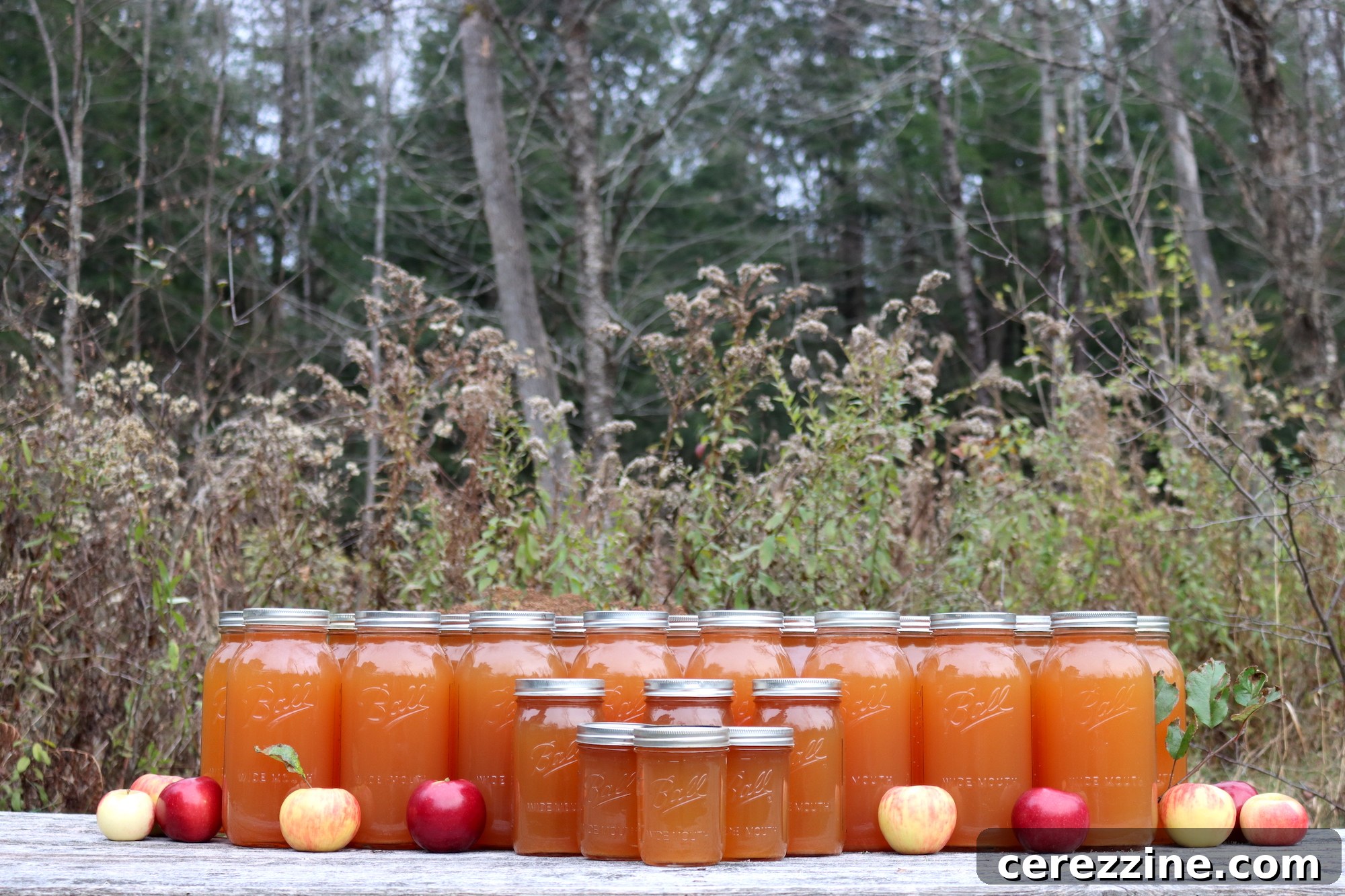Canning Apple Cider