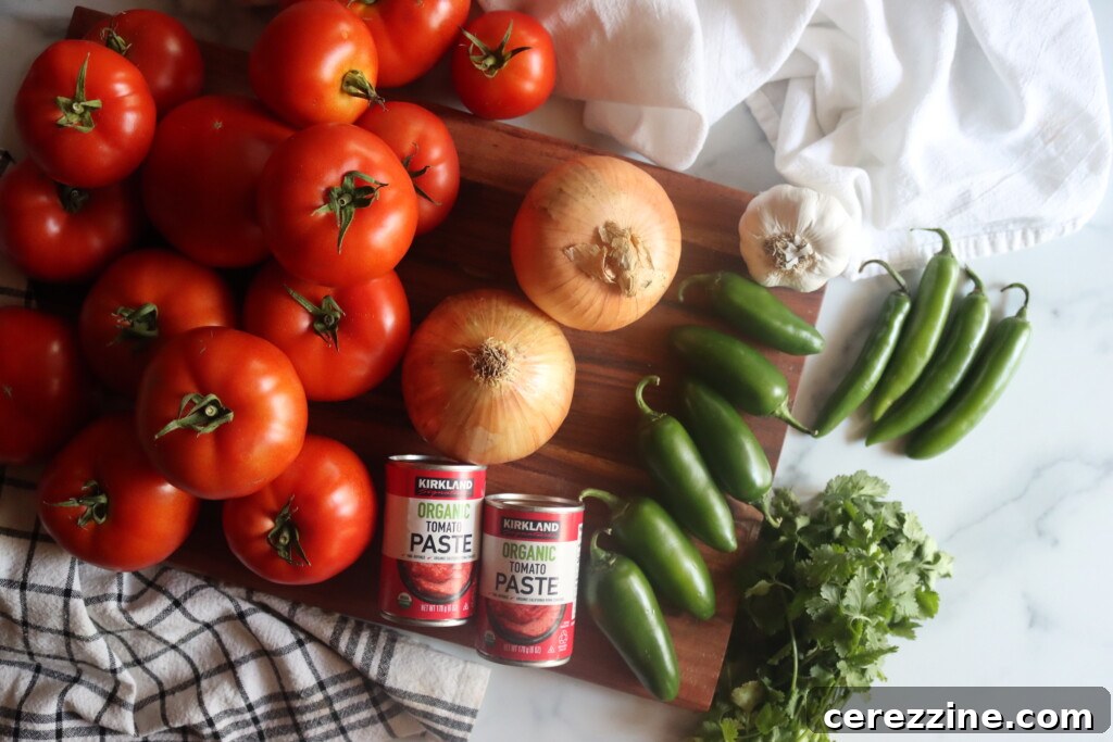 A beautiful spread of fresh ingredients for canning tomato salsa, including ripe tomatoes, peppers, onions, and spices.