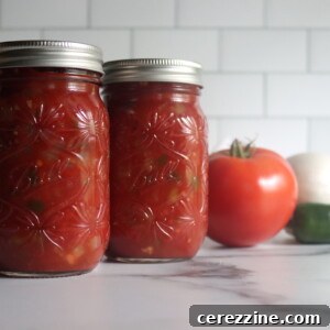 Tomato Salsa with Tomato Paste