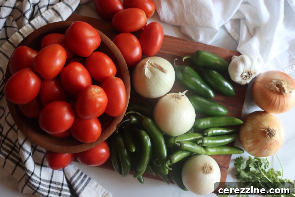 Hearty Tomato Salsa