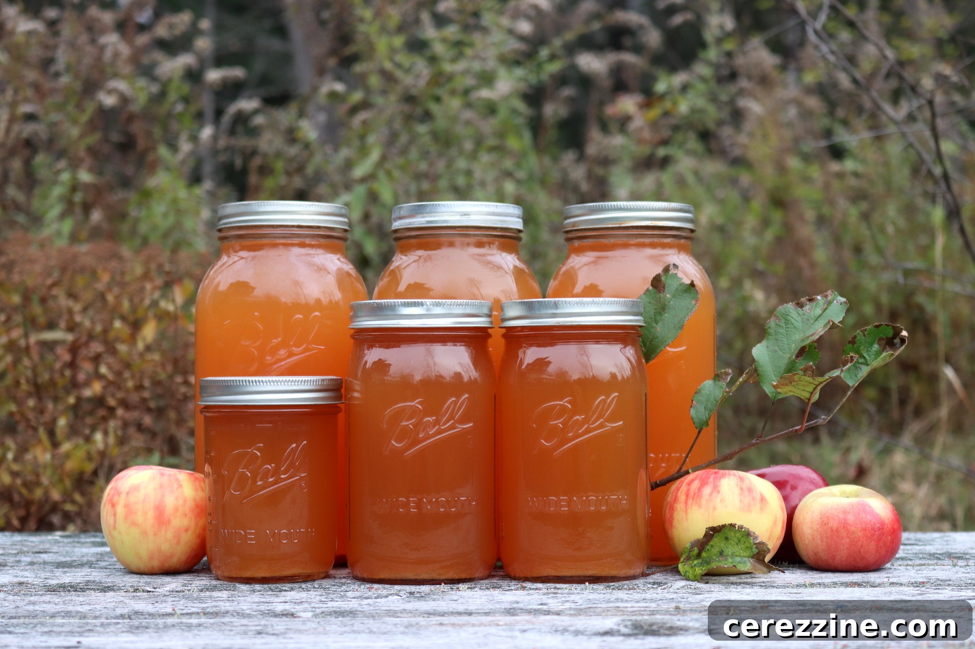 Canning Apple Cider