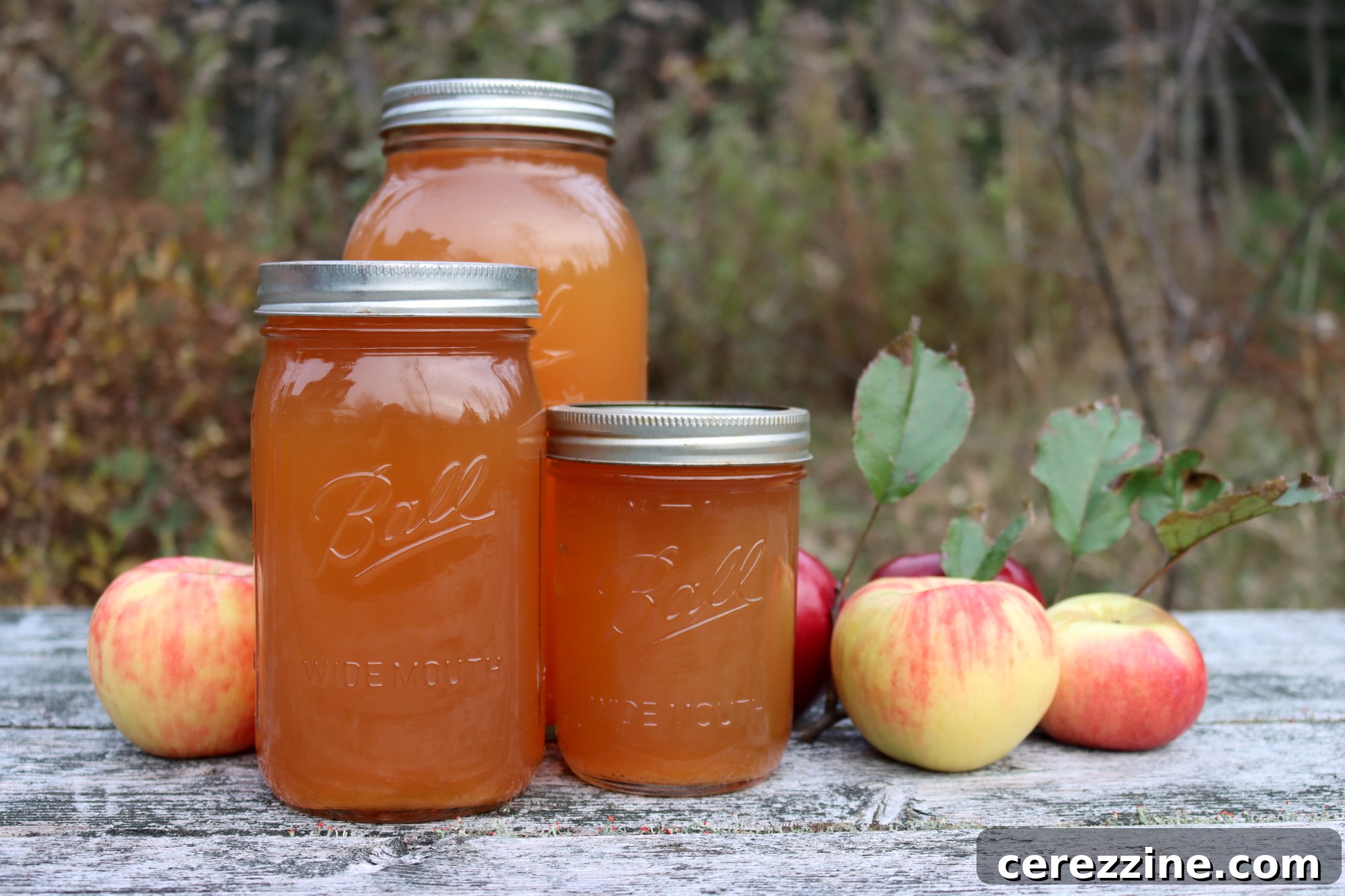 Canning Apple Cider