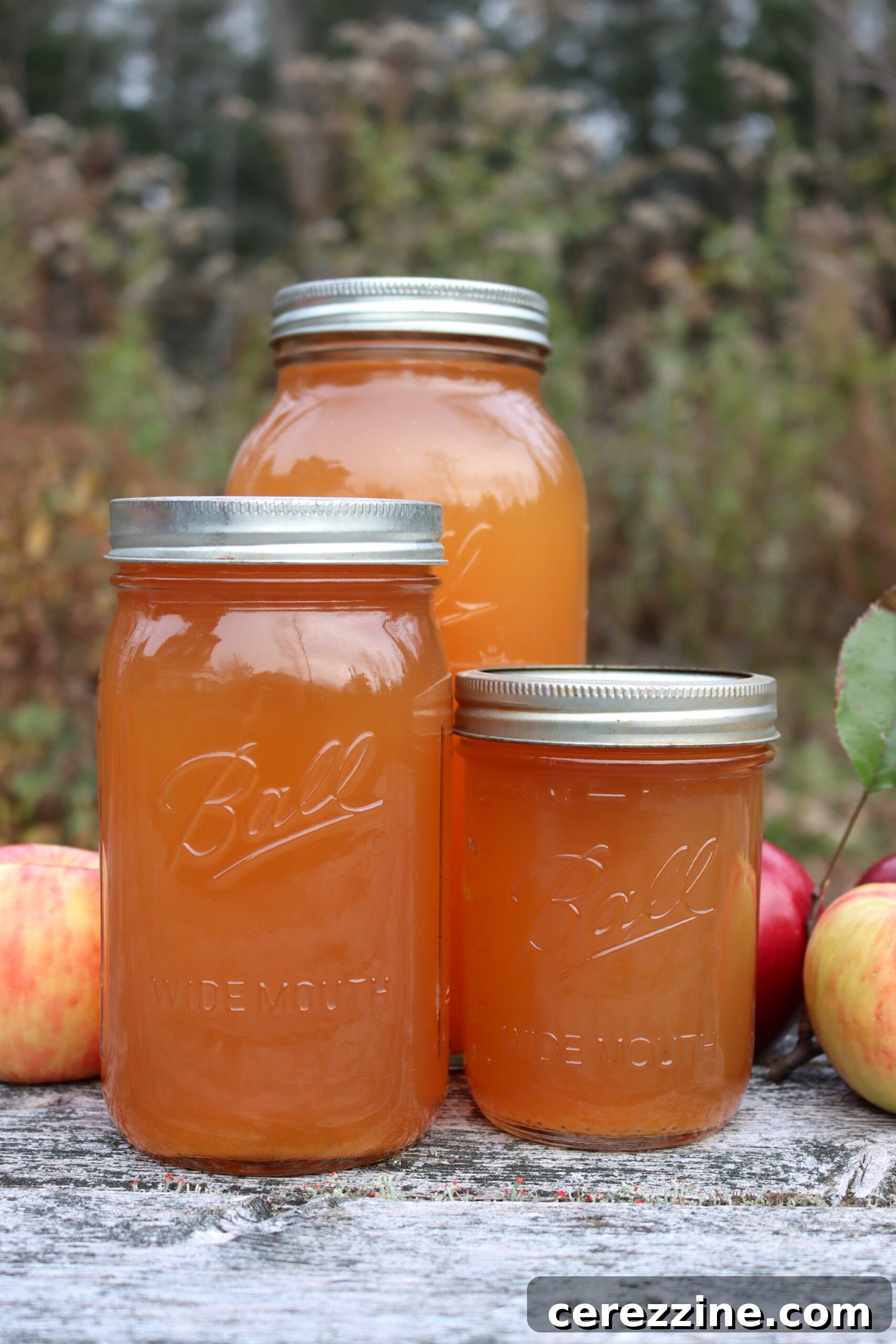 Canning Apple Cider