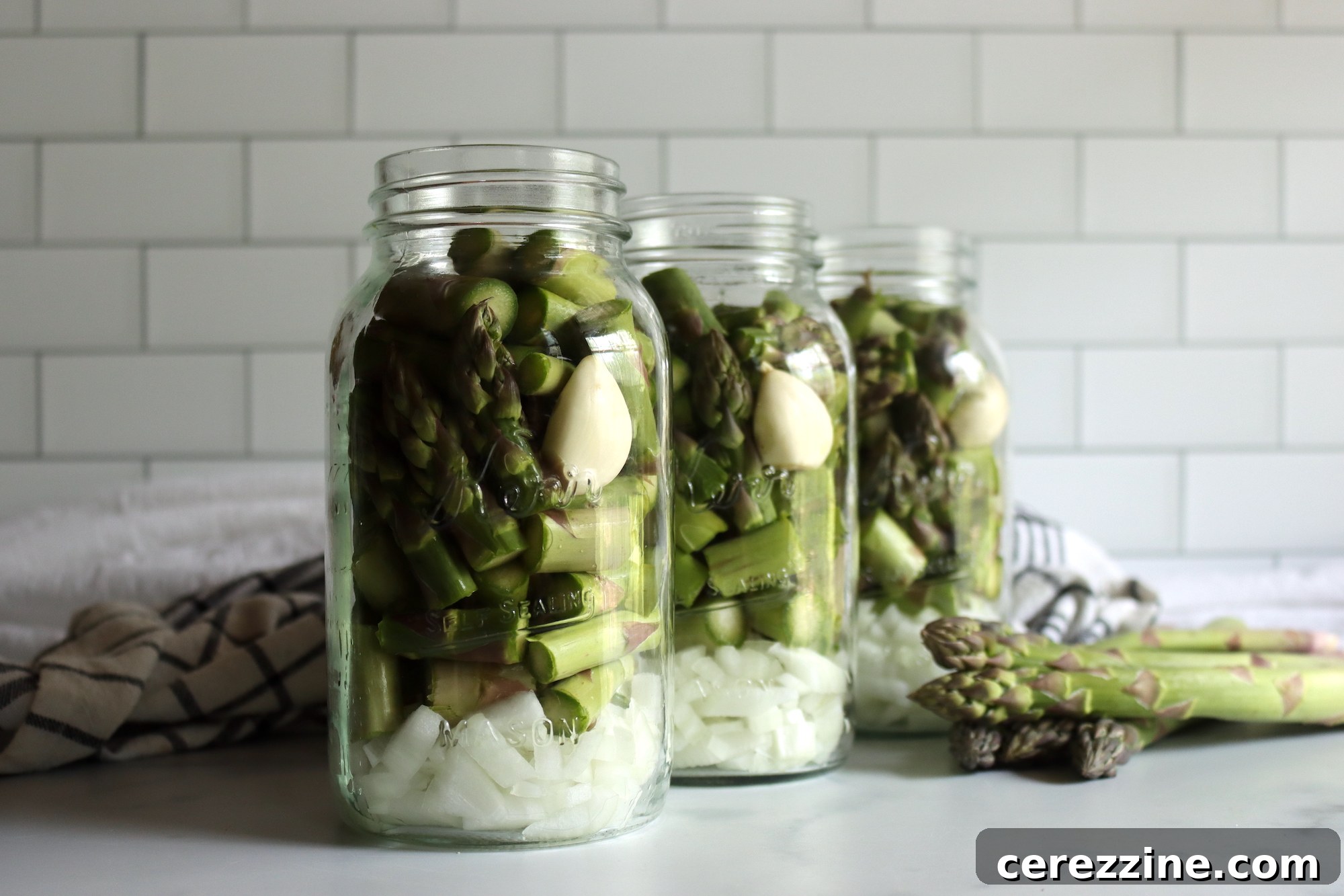 Preserving Asparagus Soup Starter 2 Canning Asparagus Soup Base - Fresh Ingredients