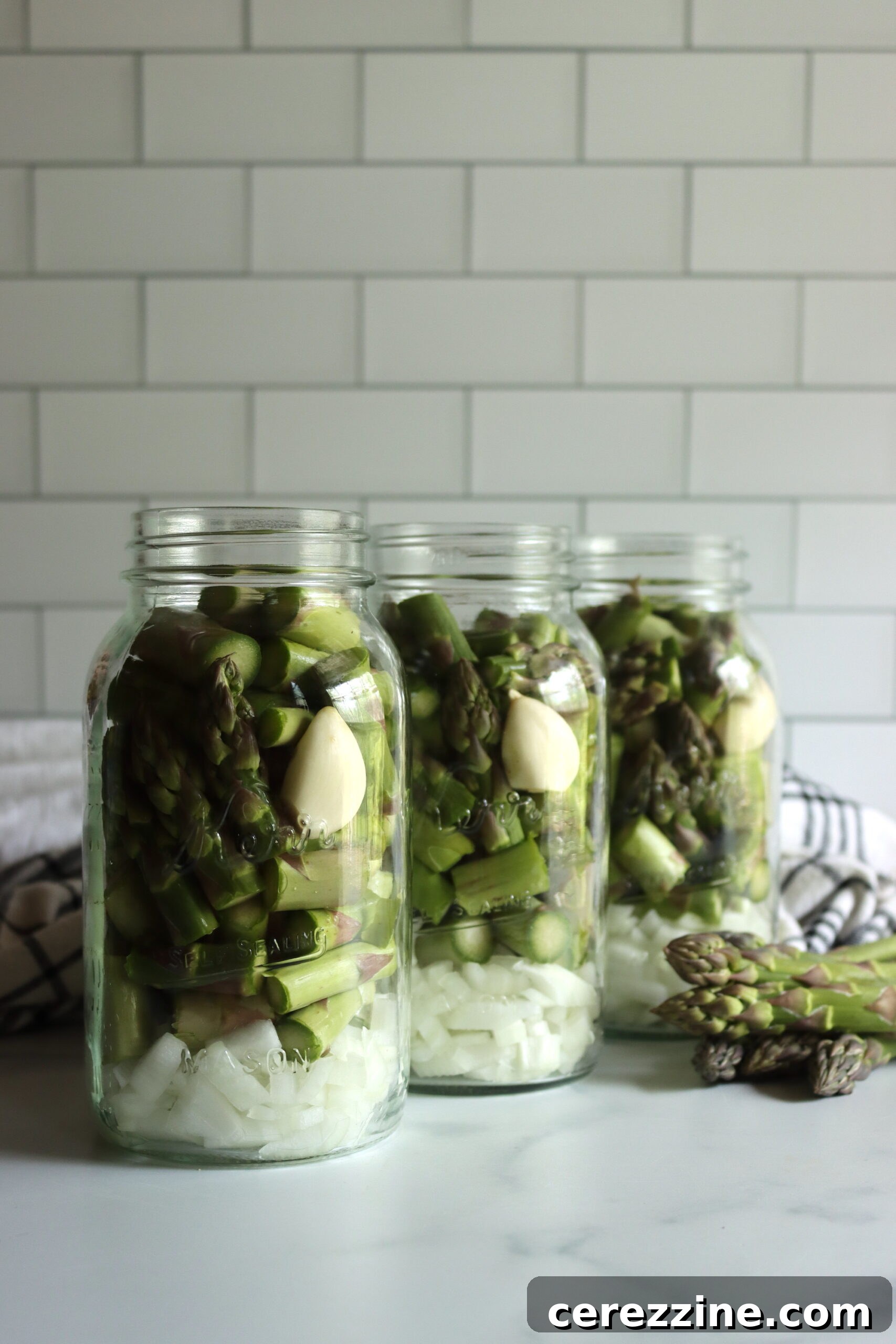 Preserving Asparagus Soup Starter 3 Canned Asparagus Soup Base Jars on Shelf