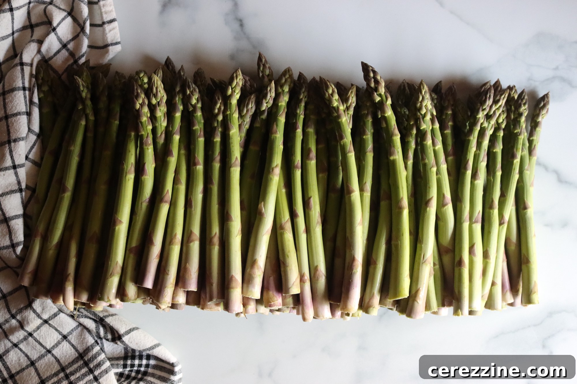 Preserving Asparagus Soup Starter 4 Fresh Asparagus for Soup
