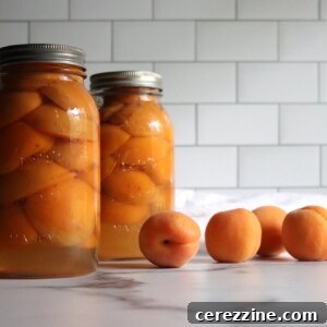 Golden Apricot Preserves 8 Canning Apricots