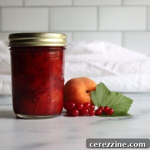 Apricot Red Currant Jam
