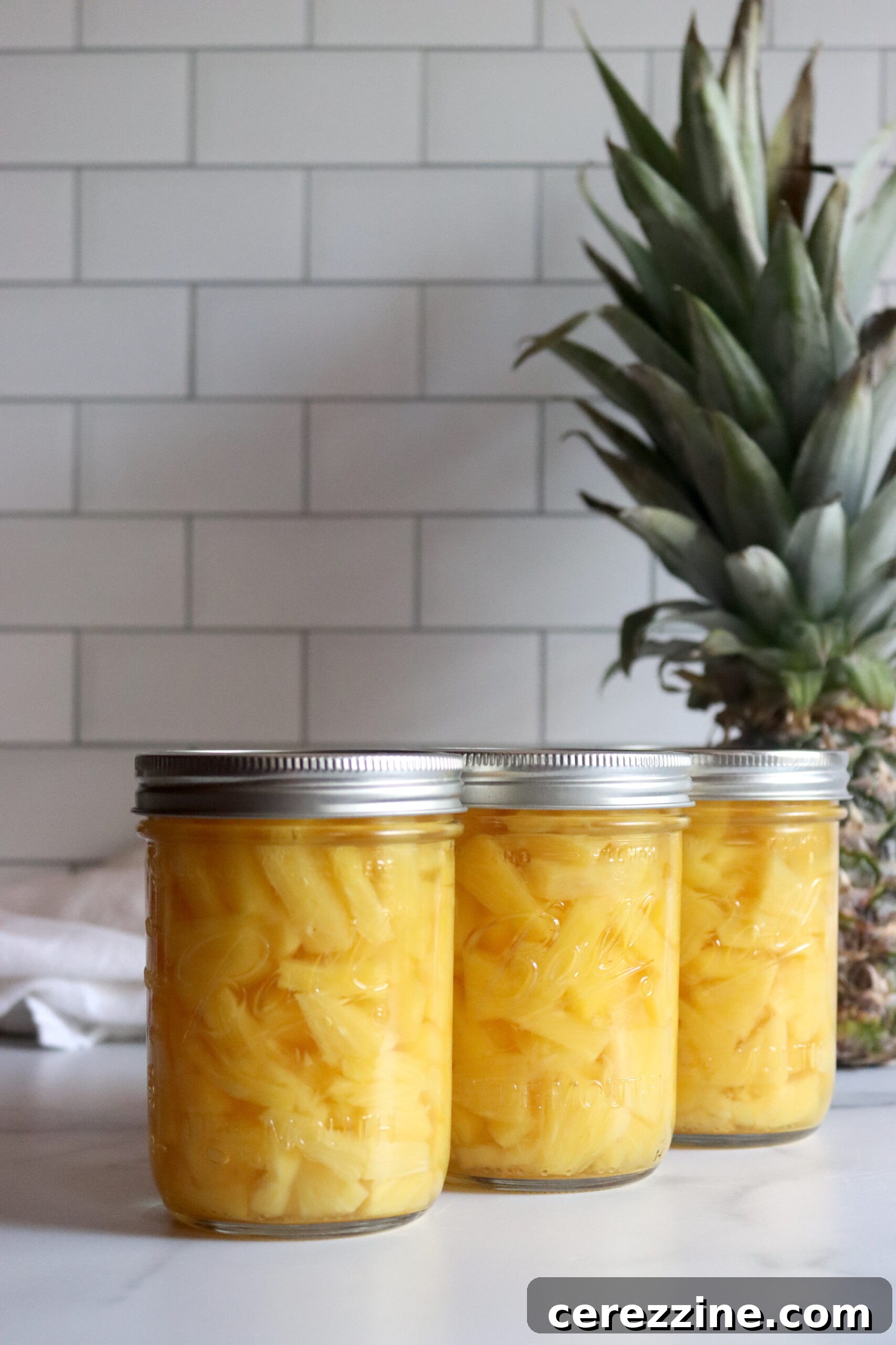 Preparing Pineapples for Canning