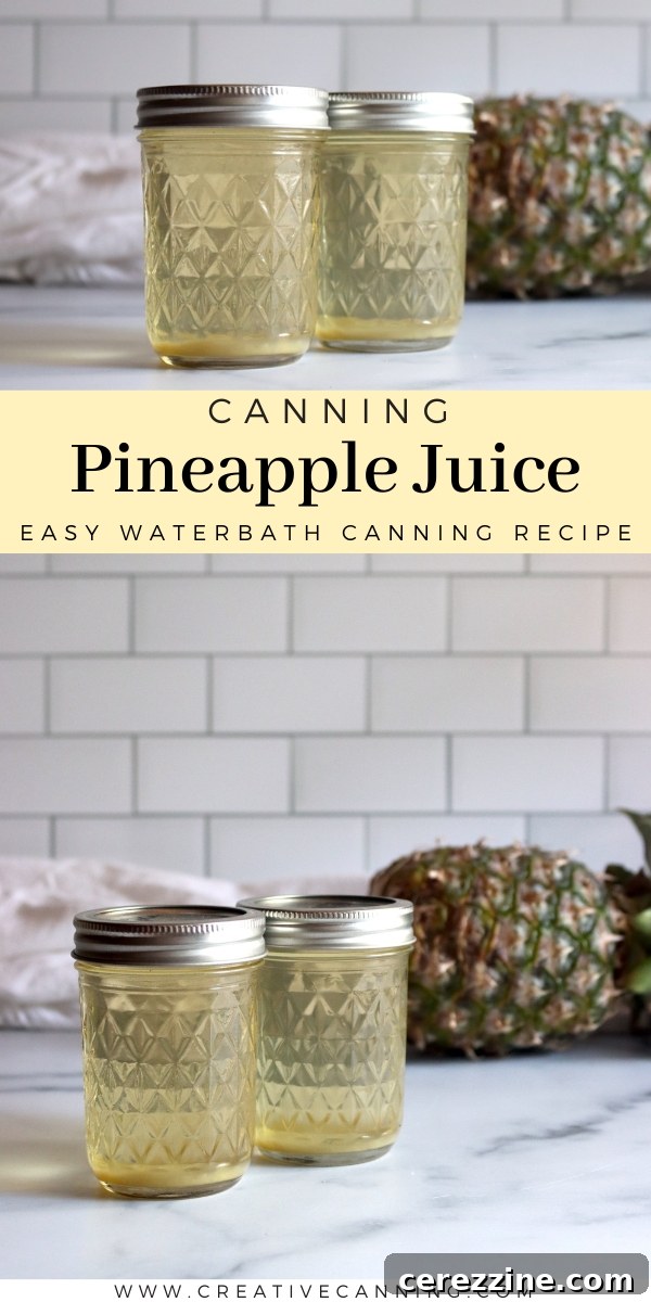 Diverse Juice Canning Ideas including Pineapple Juice