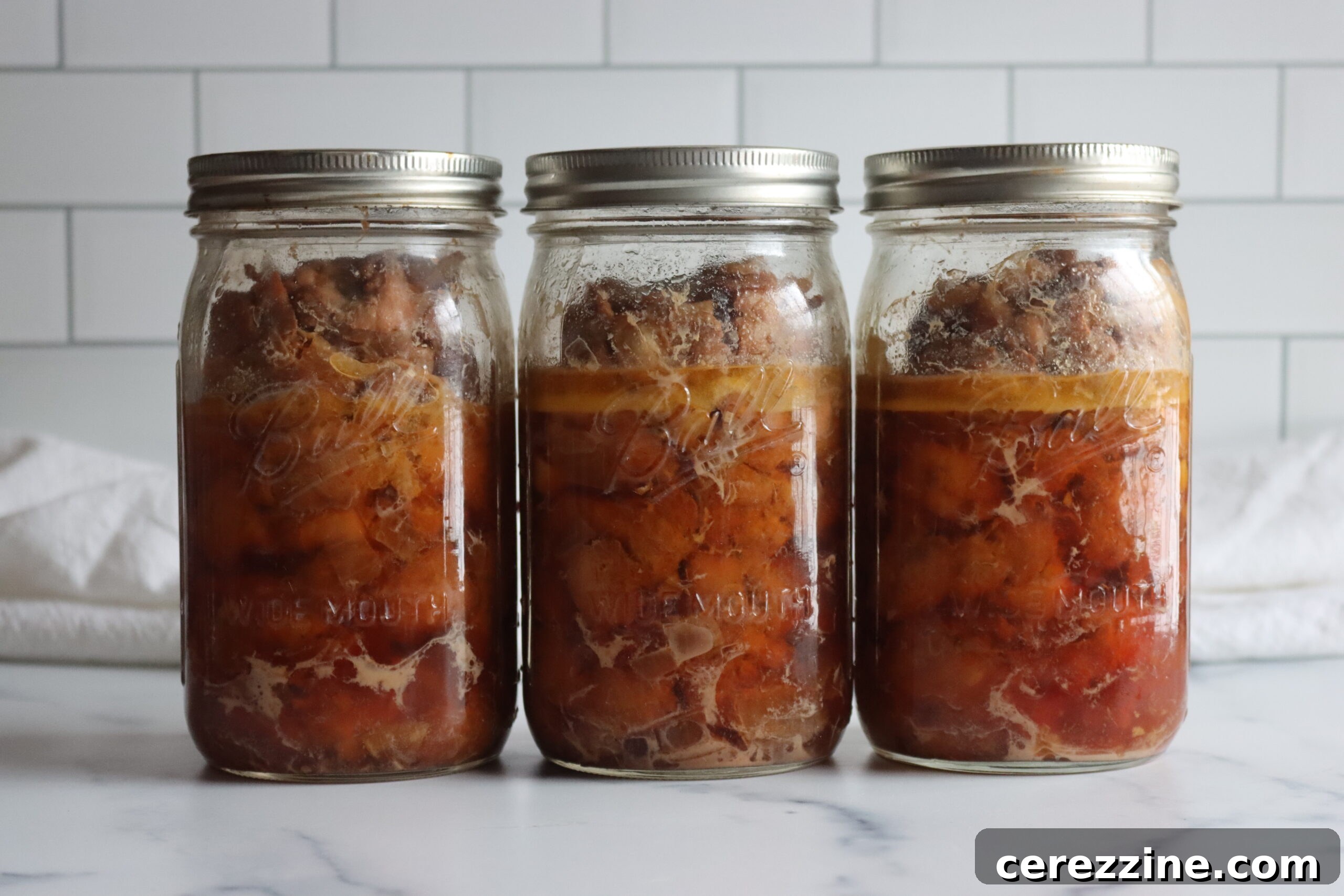 Homemade Canned Chicken Taco Meat 6 Jars of raw-packed seasoned chicken after pressure canning, showing the natural juices released during the process.