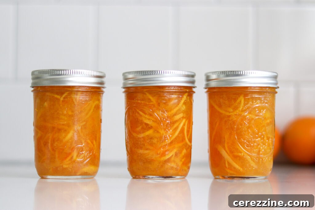 Low Sugar Orange Marmalade