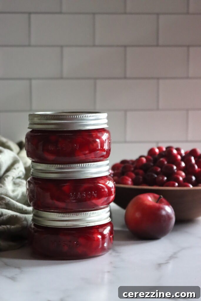 Homemade Jam, Naturally Set 12 Cranberry Apple Jam