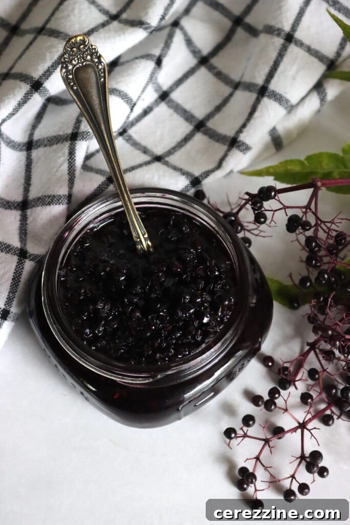 Homemade Jam, Naturally Set 13 Elderberry Jam