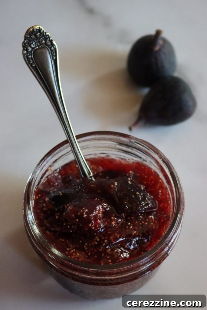 Homemade Jam, Naturally Set 14 Fig Jam