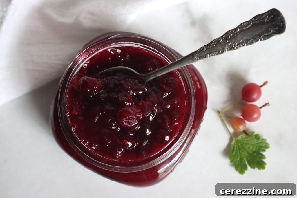 Homemade Jam, Naturally Set 15 Gooseberry Jam