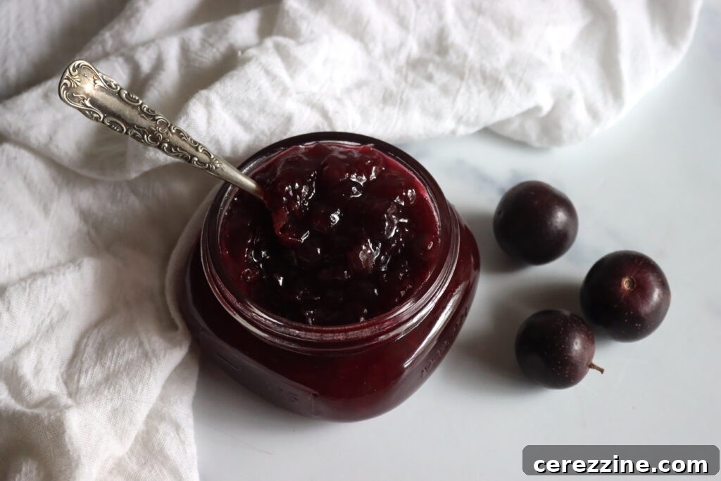 Homemade Jam, Naturally Set 16 Muscadine Jam