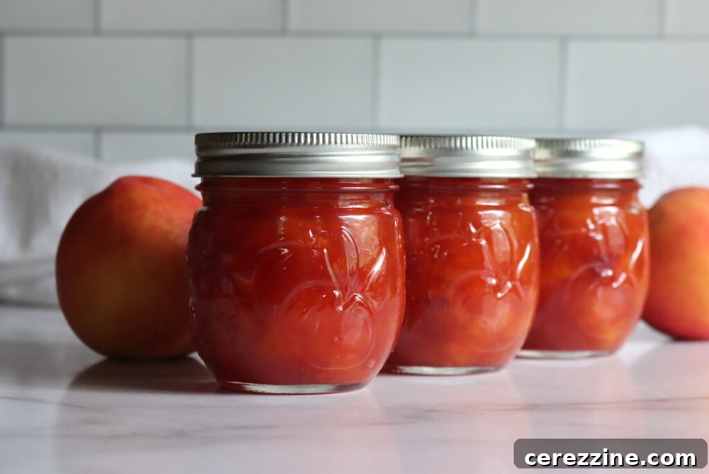 Homemade Jam, Naturally Set 19 Nectarine Jam