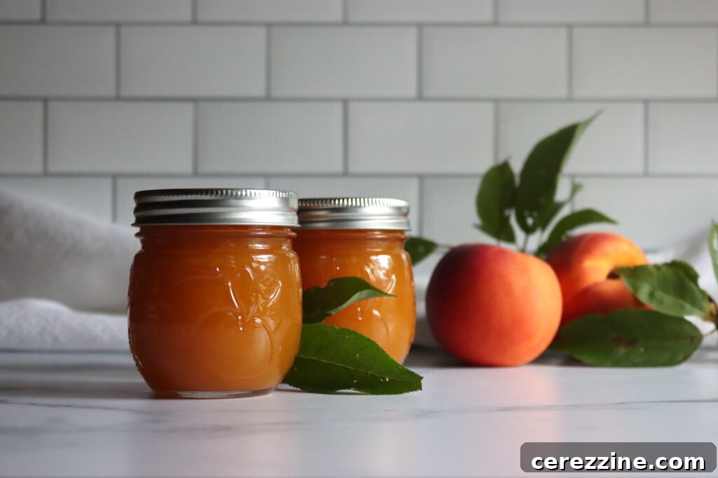 Homemade Jam, Naturally Set 20 Peach Butter