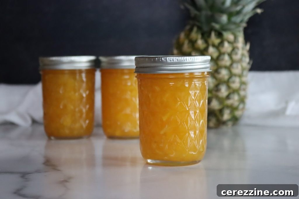 Homemade Jam, Naturally Set 23 Pineapple Jam