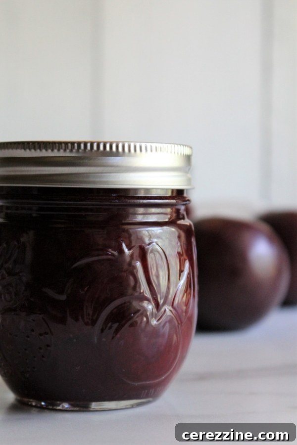 Homemade Jam, Naturally Set 24 img 27874 23