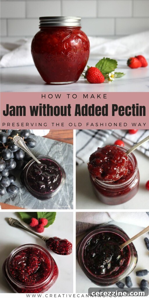 Homemade Jam, Naturally Set 28 Making Jam without Pectin Recipes