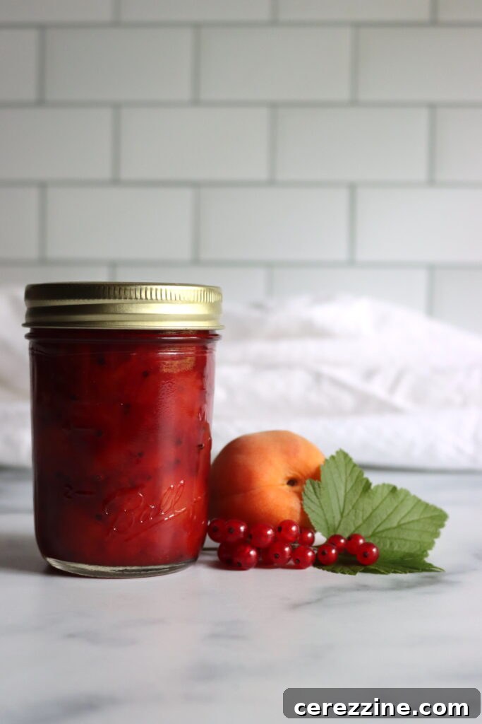 Homemade Jam, Naturally Set 4 Apricot Red Currant Jam