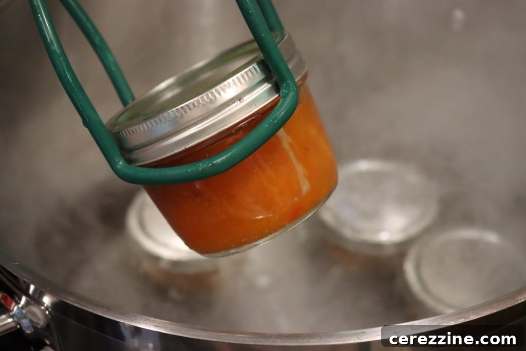 Homemade Jam, Naturally Set 6 Canning Apricot Jam