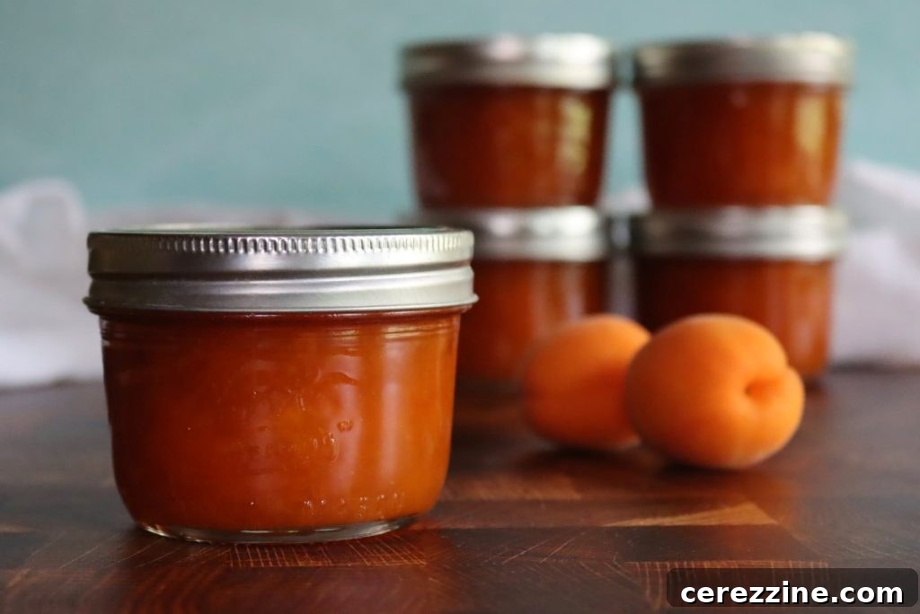 Homemade Jam, Naturally Set 8 Apricot Jam