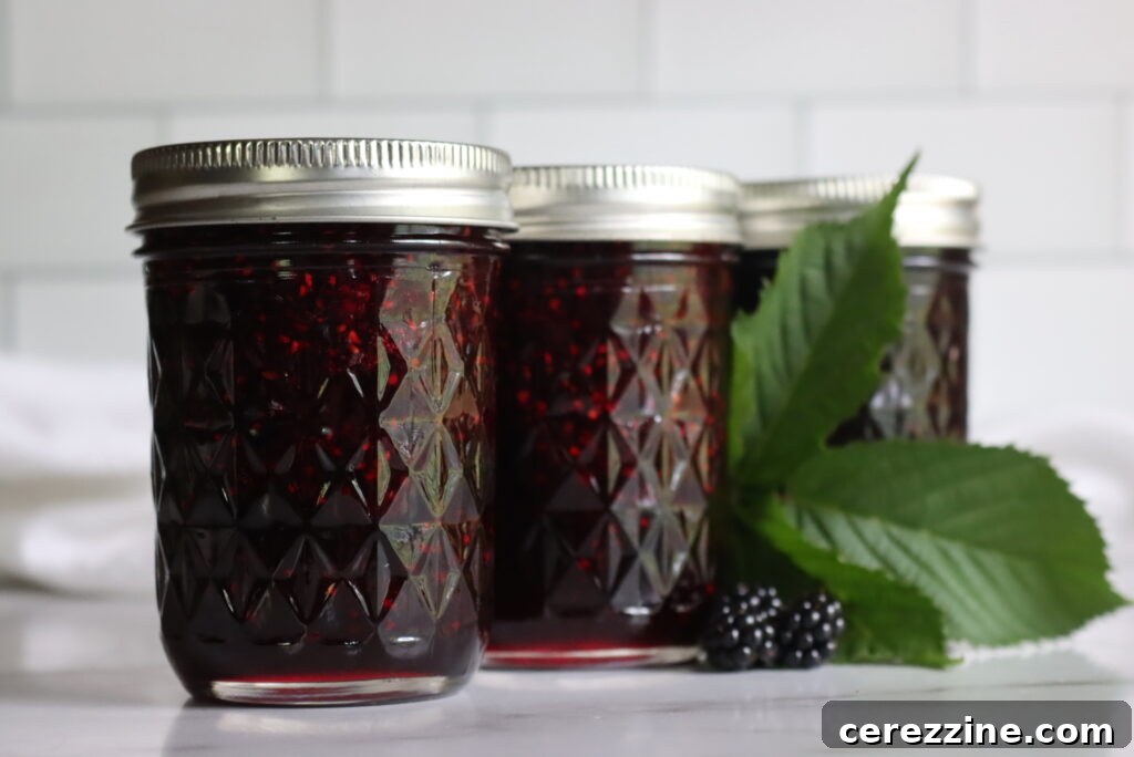 Homemade Jam, Naturally Set 9 Blackberry Jam