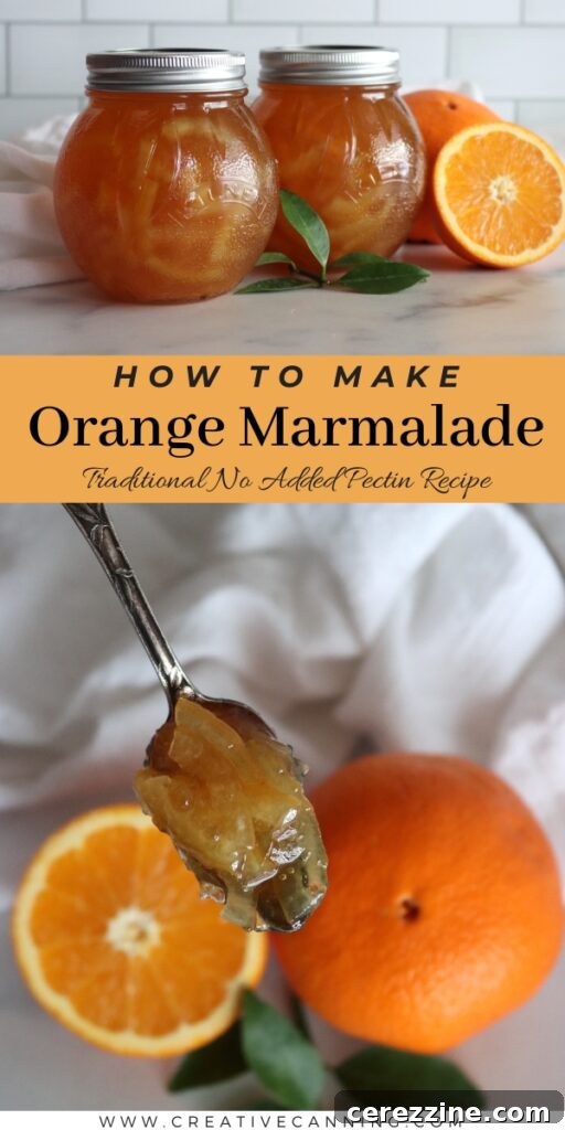 Collection of various homemade citrus marmalades