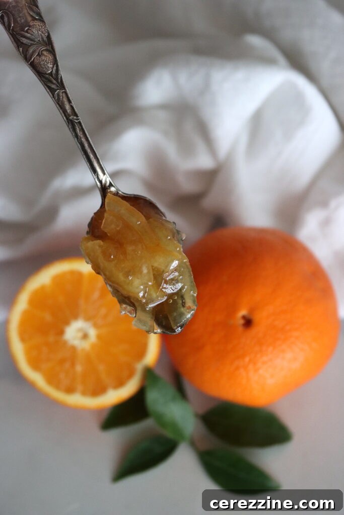 Assortment of fresh oranges and lemons for marmalade