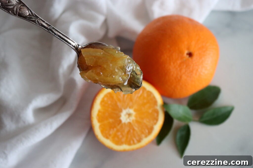 Spoon of Well Set Orange Marmalade
